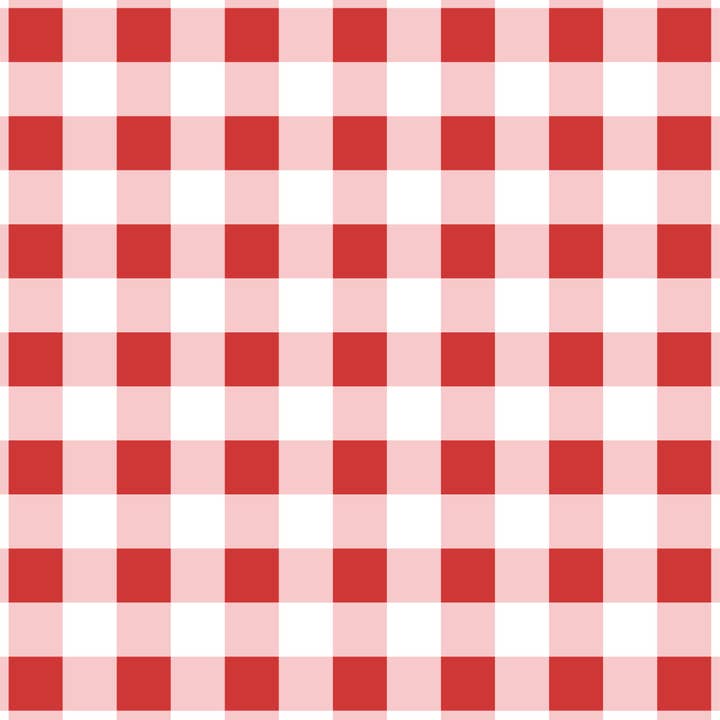 Beau Bottles - Wholesale Wine Gift Bag - Beau Bottles Red and White Gingham - Prosecco Collection4