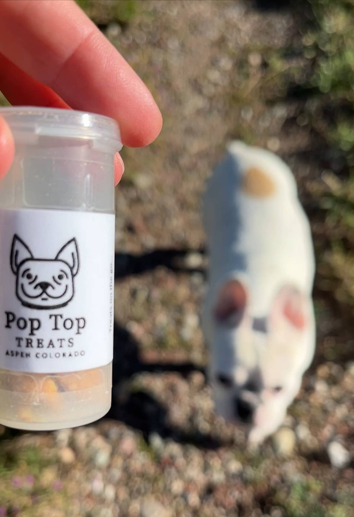 poptoptreats - Wholesale Pet Treats - Dog - Pop Top Treats-UN-filled, Add Your Own Treats5