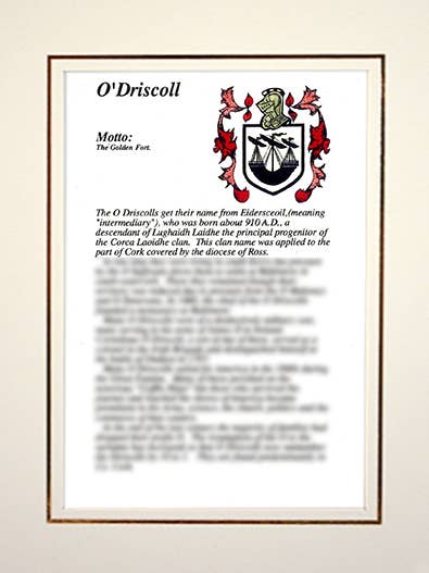 O'Driscoll for engroshandel hos Family Histories