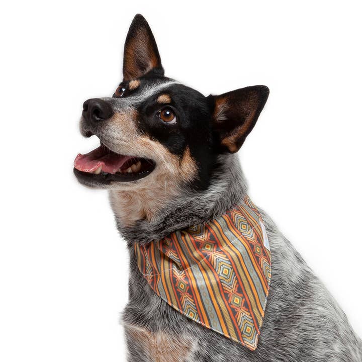 Diamond Pupperchief for engroshandel hos Seawoof