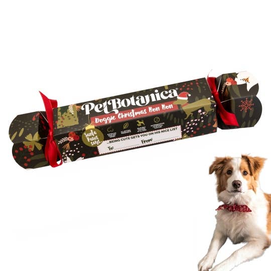 Pet Botanica - Wholesale Pet treats – Dog - Doggie Christmas Bon Bon/Cracker | Christmas gift for dogs4