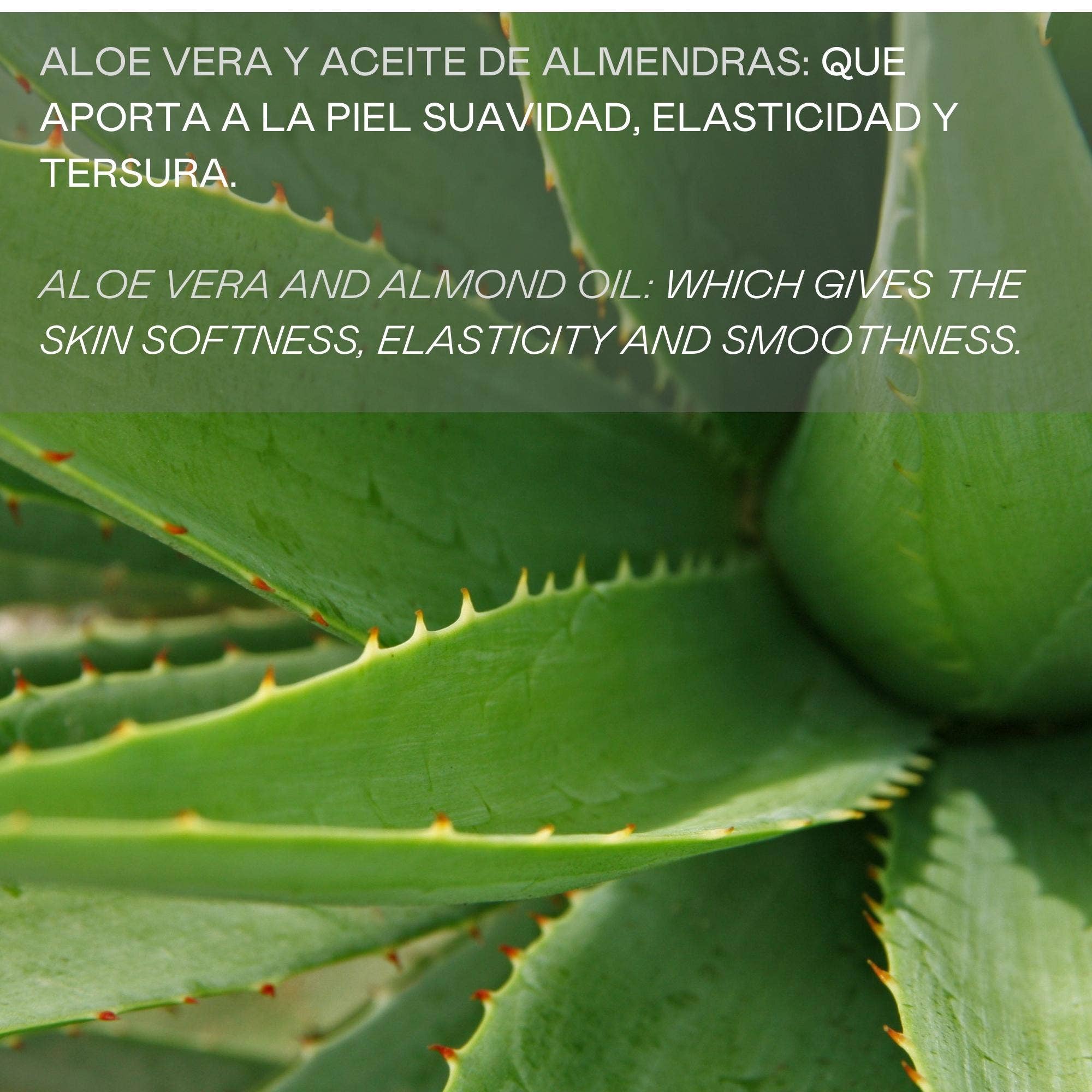 Valquer Laboratorios - Wholesale Body Cream/Lotion - Hydronutritive body milk 24h - 500 ml2