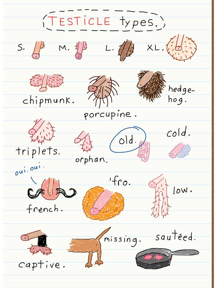 550 Testicle Types (Birthday Card) for wholesale by Clayboys Cards