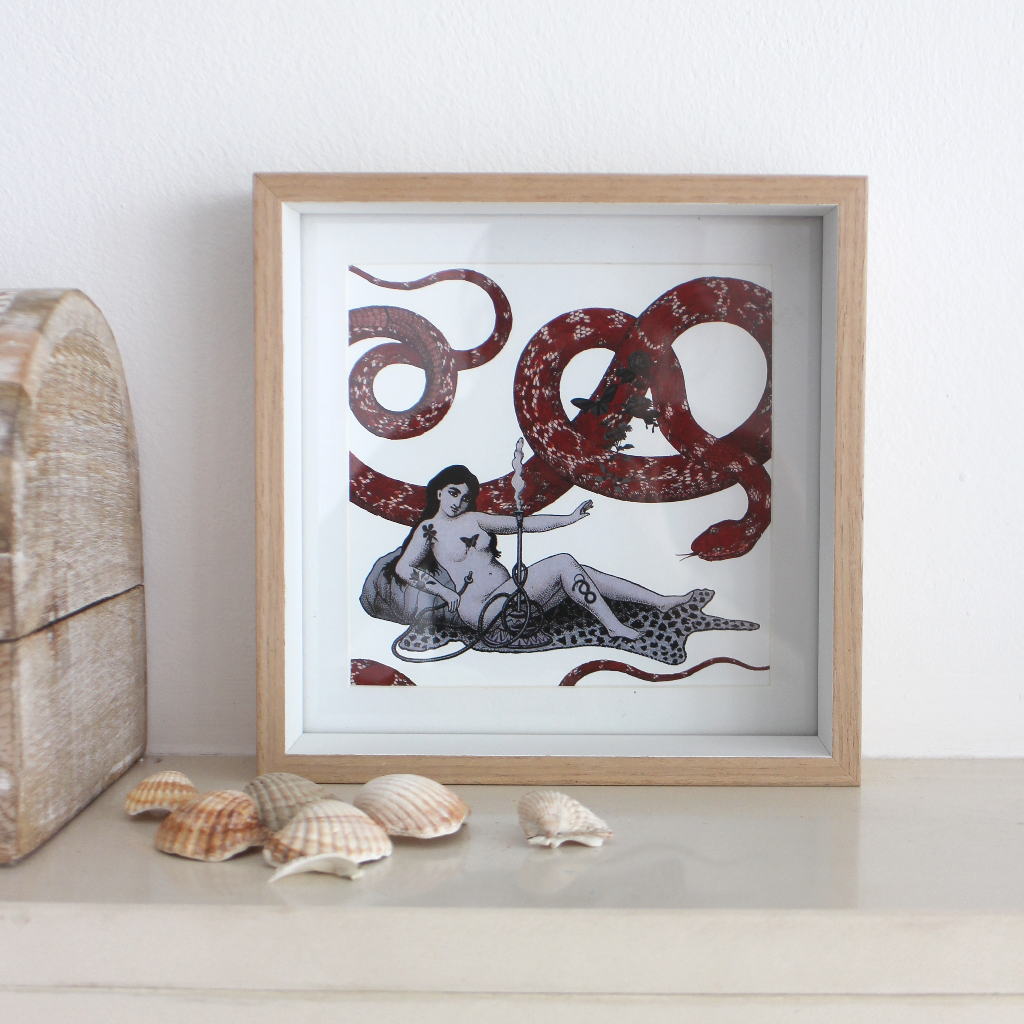 Kapris – wholesale Vykort – Dream snake - vykort0