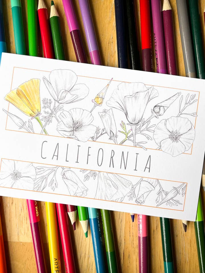 Color-it-yourself California postcard: Golden poppies for wholesale by Hannah Moore Art