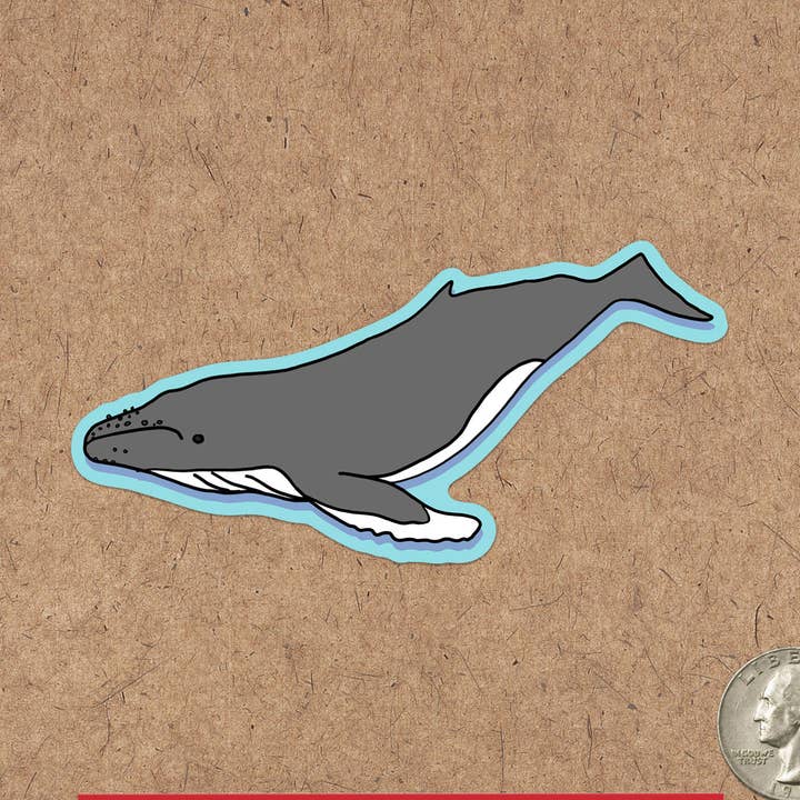 Bultrugwalvissticker Hawaรฏ Alaska Maine Massachusetts voor wholesale door Made by Nilina