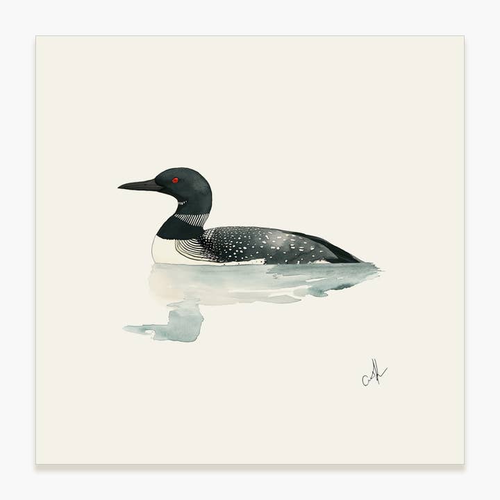 Loon - Lámina de Arte sin Marco para venta al por mayor de Saltbox & Company
