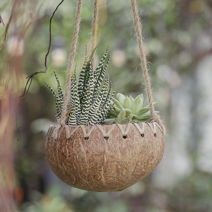 Rainforest Bowls – wholesale Hanging planter – Hanging Fiber Coconut Planter