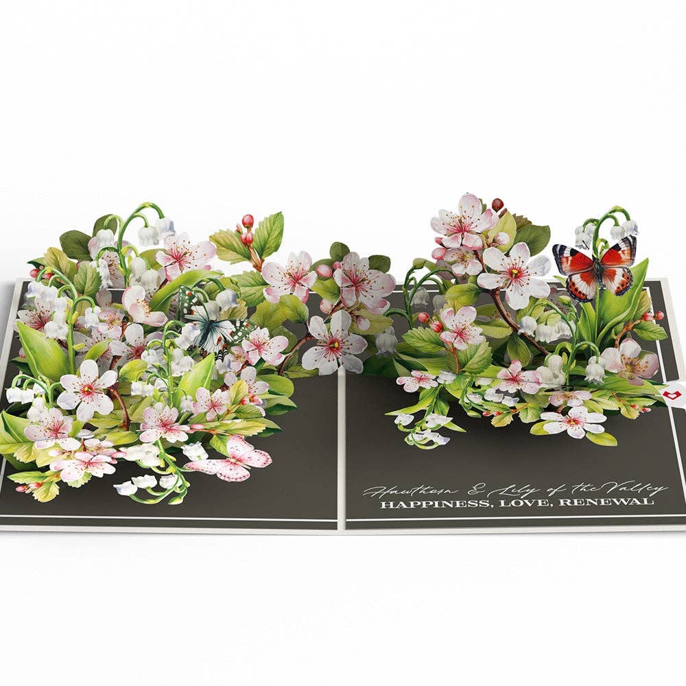 Lovepop Cards - Wholesale Birthday Card - Born to Bloom: May Birth Month Flowers Pop-Up Card 5x7"0