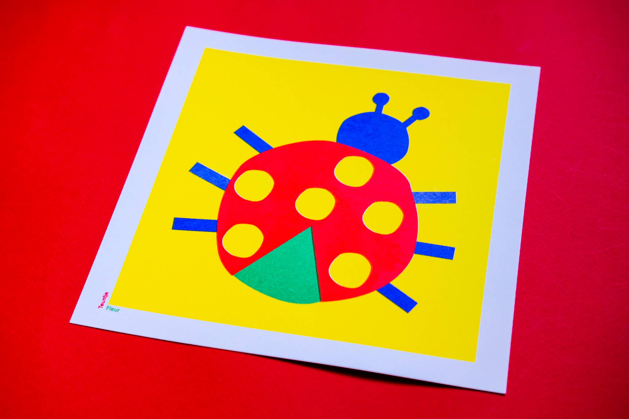 Teuntje Fleur - Wholesale Art Print - Lieveheersbeestje Vierkant print 20x20 cm3