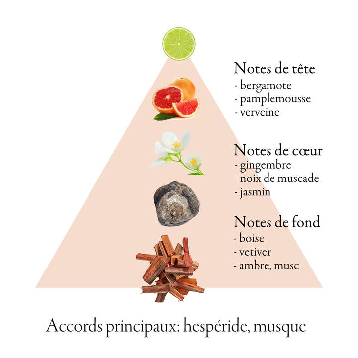 FAMILLE GRASSE PARFUMS - Wholesale Perfume/Eau de Toilette - AVALANCHE RED eau de parfum for men 100ml4