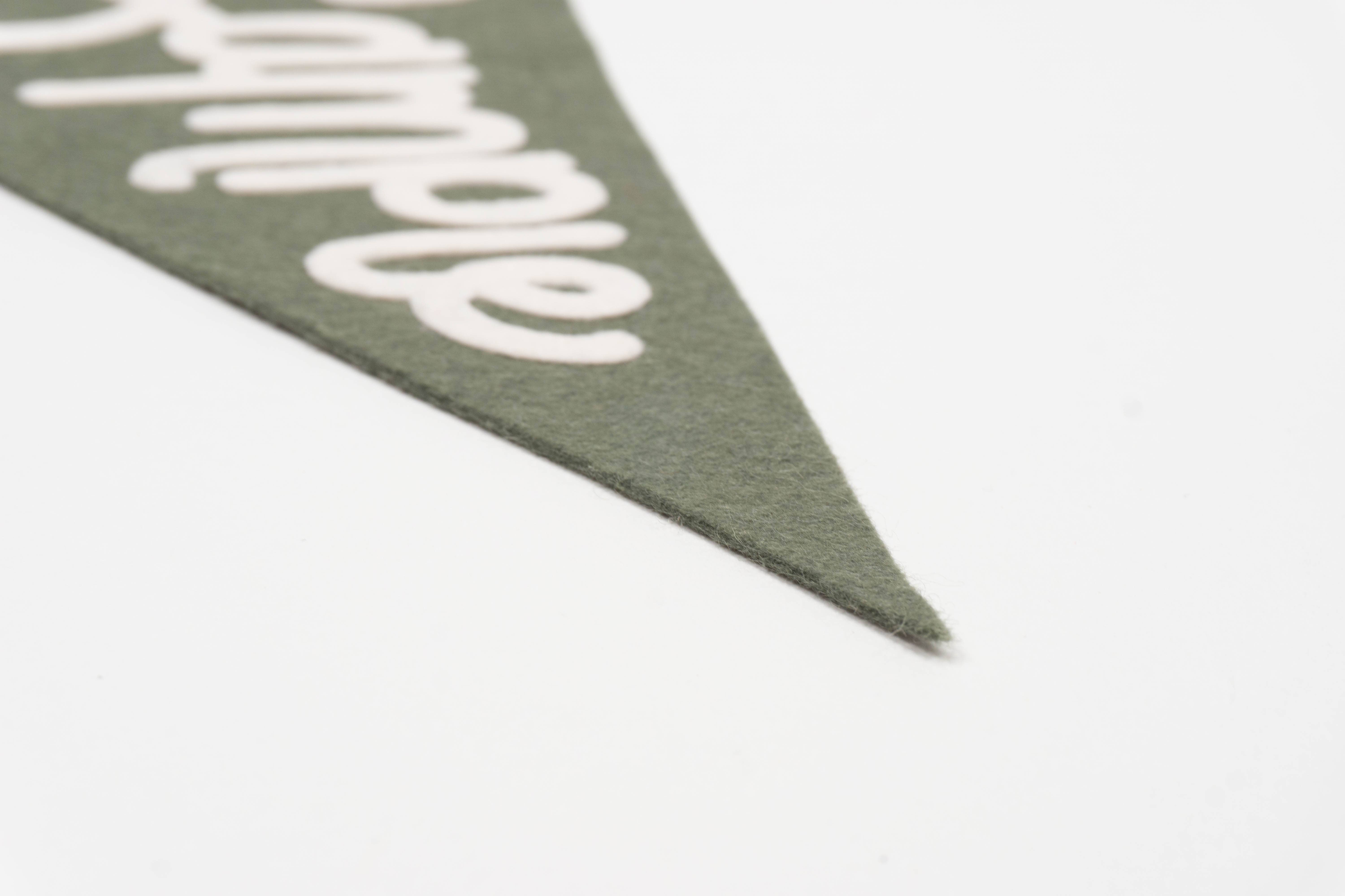 traveldashery - Wholesale Banner - sample custom pennant29