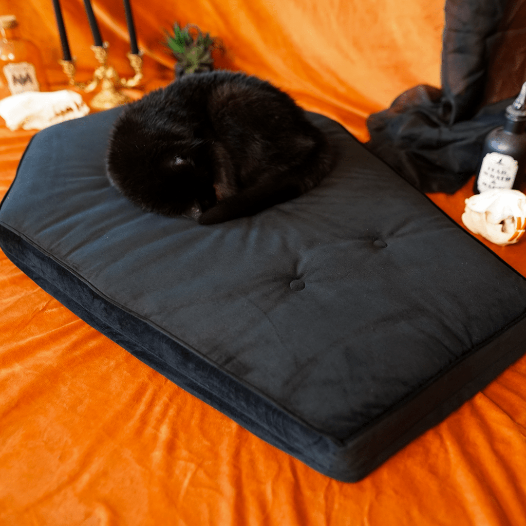 Goth Cloth Co. – wholesale Pet bed – Cat/dog – Critter Coffin - Coffin Shaped Memory Foam Pet Bed for Dogs & Cats8