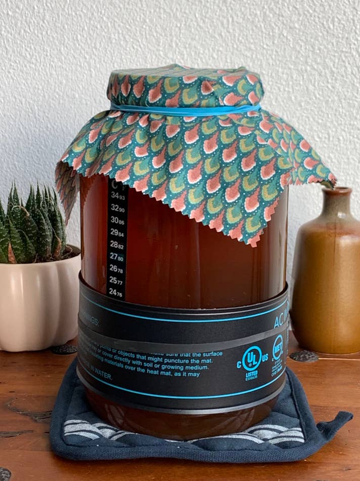 Deluxe Starter Kit for wholesale by Oregon Kombucha