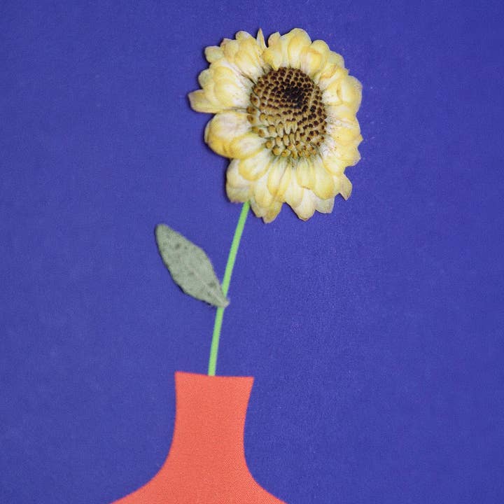 PlantBox – Engroshandel Hverdagshilsen kort – Bauhaus solsikkekort1