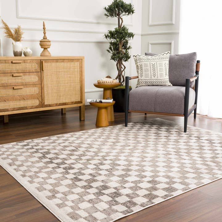 Hauteloom - Wholesale Area Rug - Benjy Beige Checkered Area Rug15