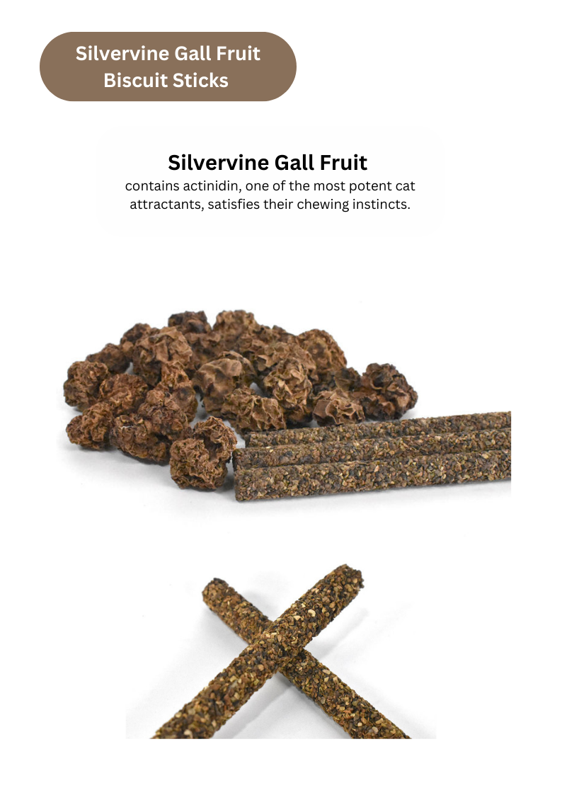 CATWANT - Venta al por mayor Juguete - Gatos - Palitos de galletas Silvervine Gall Fruit o Catnip, 8 unidades3
