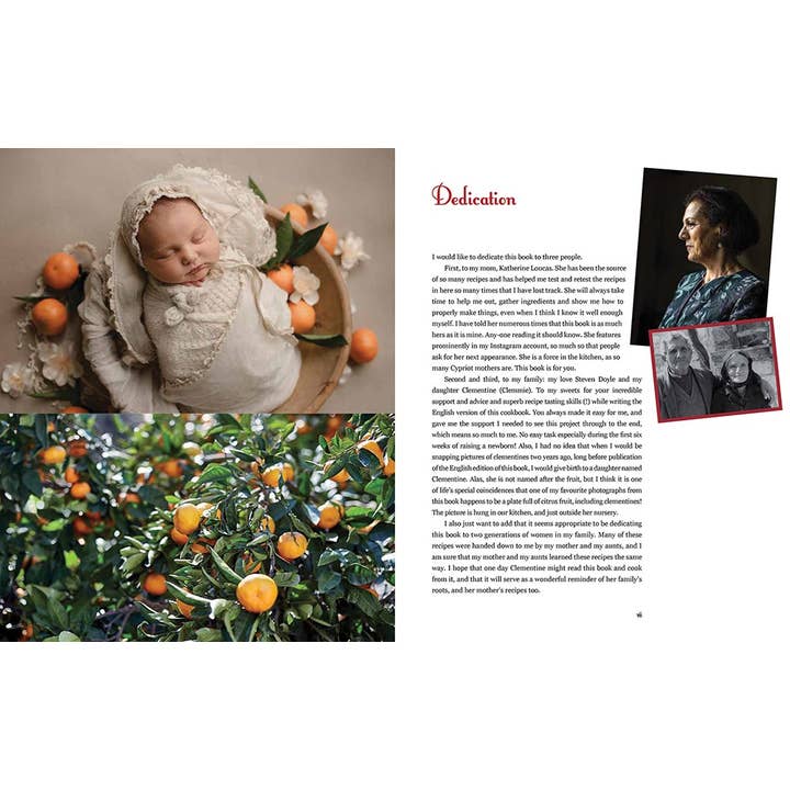 Independent Publishers Group - Wholesale Cookbooks & Food - Cyprus Cuisine2