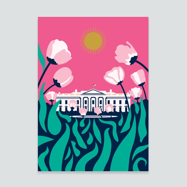 White House Tulips Postcard for wholesale by Ale inspired