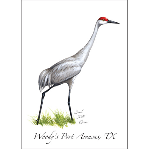 Earth Sky + Water - Wholesale Everyday Greeting Card - Sandhill Crane0