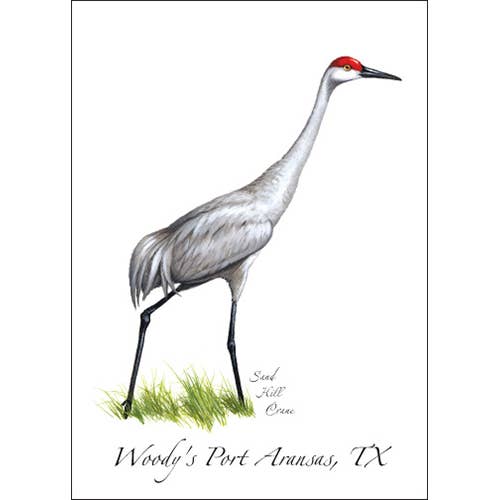 Earth Sky + Water - Wholesale Everyday Greeting Card - Sandhill Crane