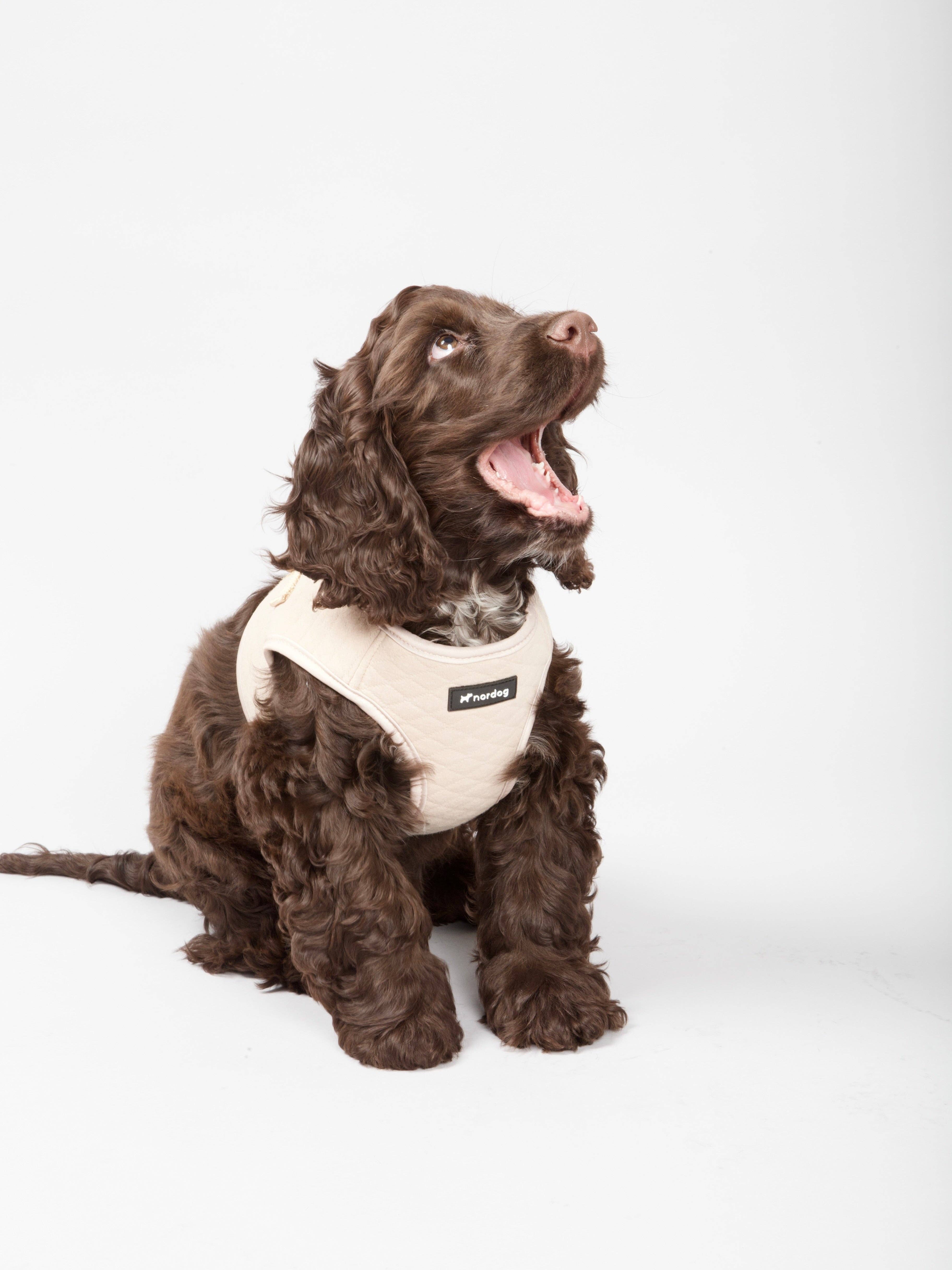 Nordog – wholesale Sele - Hund – Park hundsele beige3