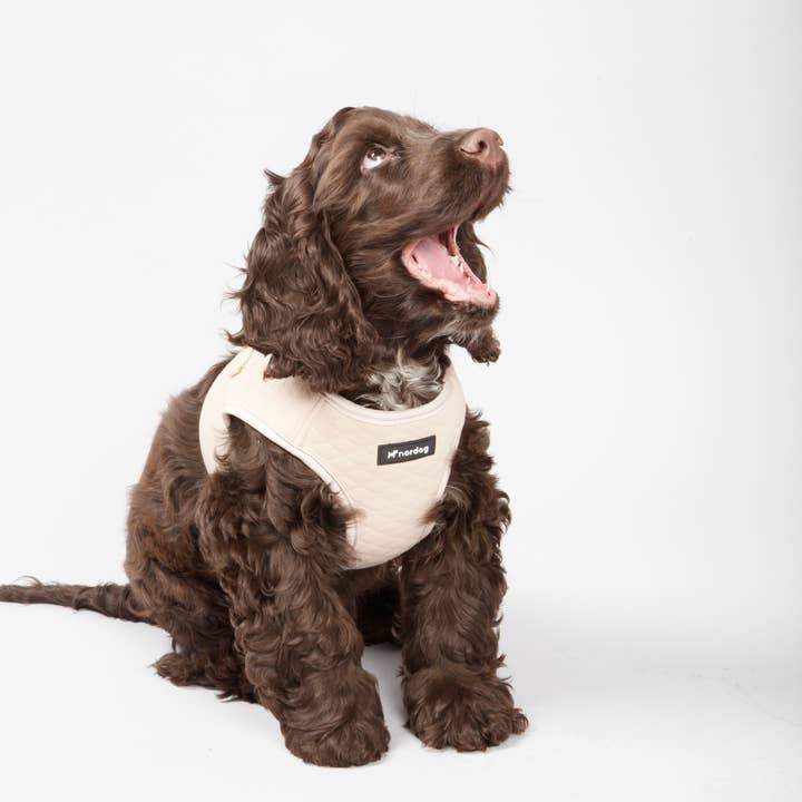 Nordog – wholesale Sele - Hund – Park hundsele beige3