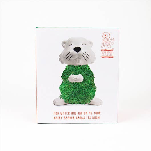 Gift Republic – wholesale Gag gift/novelty gift – Hairy Beaver Chia Pet2