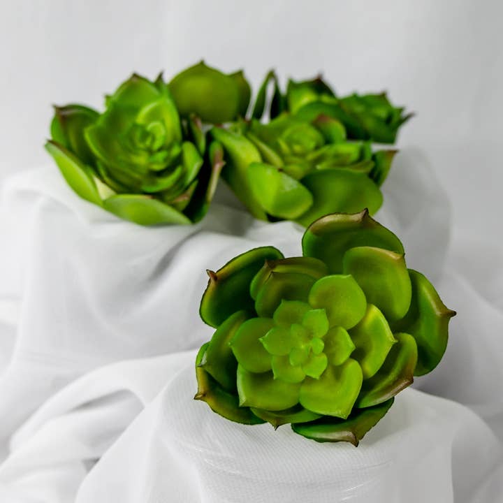 Mela Loto Succulenta -(6 Pezzi)- Fiore Artificiale Realistico per la vendita all'ingrosso da parte di Realistic Artificial Flowers