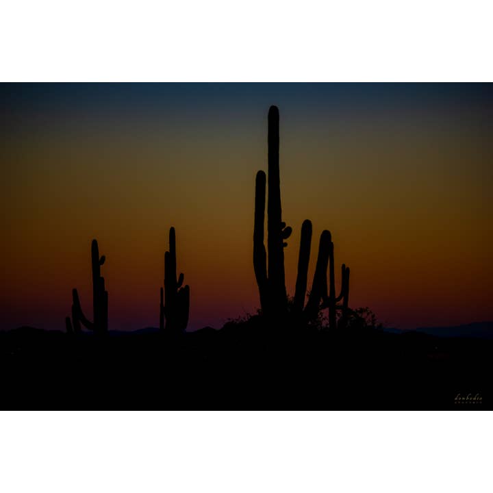 Desert Sentinels at Dusk for wholesale by DonBodio PhotoArt