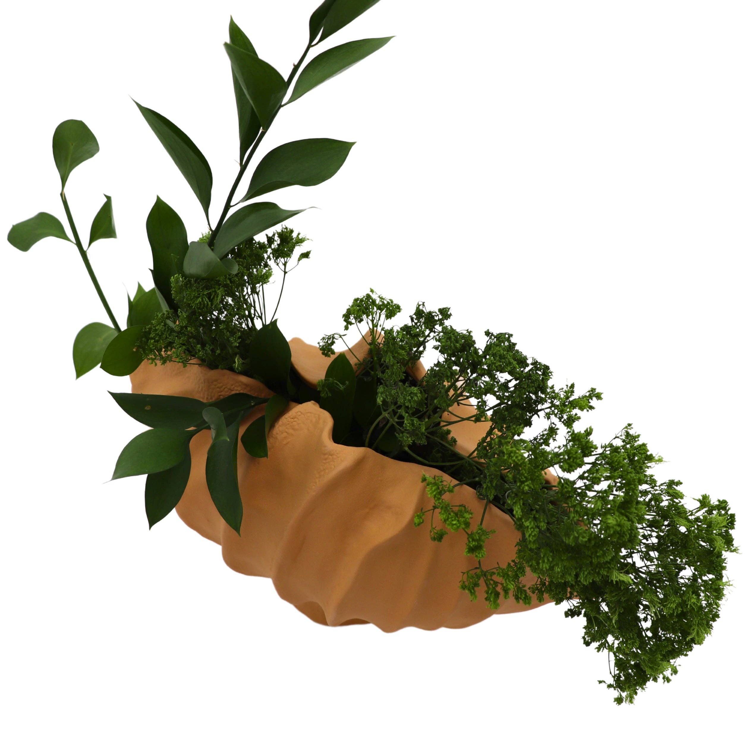 Ro’Table NYC - Wholesale Vase - Sirene Shell Vase5