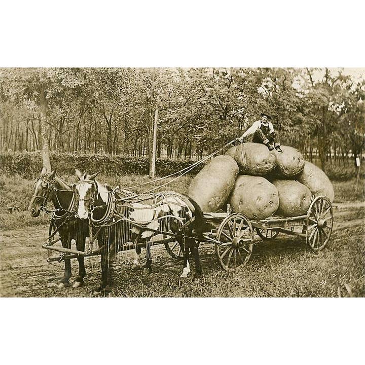 Postcard FR-165 Gigantic Potatoes on Wagon for wholesale by Found Image Press