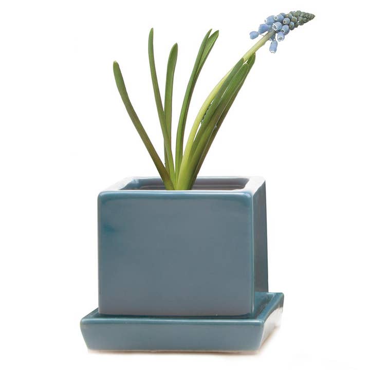 Chive - Wholesale Plant Pot - Cube & Saucer Indoor Plant Pot With Drainage