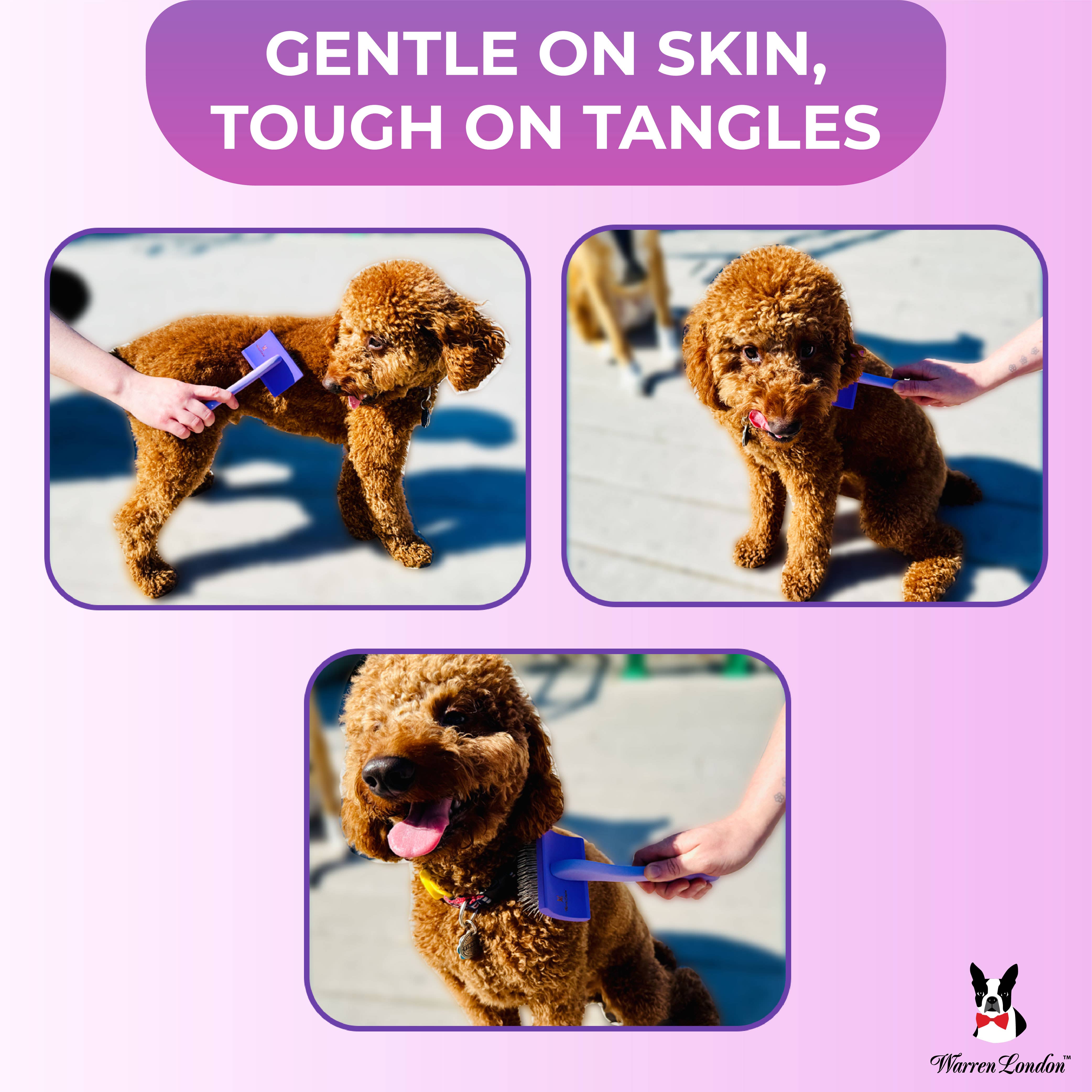 Warren London Dog Products – wholesale Borste - Katt och hund – Precision Pro slickerborste för hund4