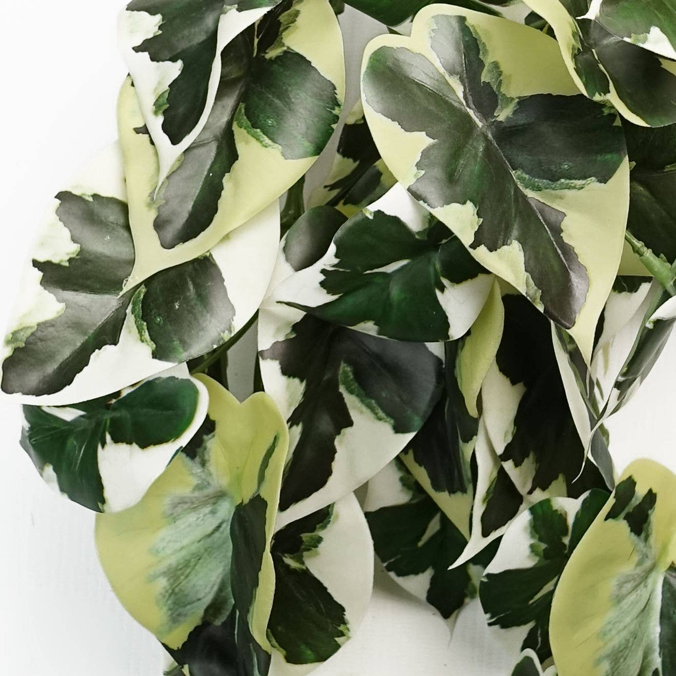 Leaf Design UK LTD - Wholesale Artificial Plant - Artificial Hanging Plant Variegated Marble Pothos Plant1