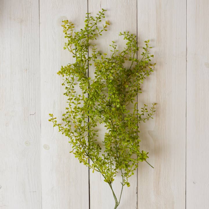 Spray - Baby Tears (PC) for wholesale by Audrey's Home & Gift