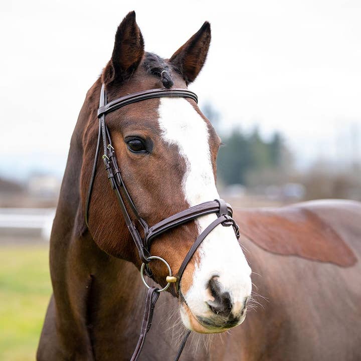 Grewal Equestrian - Wholesale Horseback Riding Gear - Marco Simone Italian Monocrown Bridle with Removeable Flash