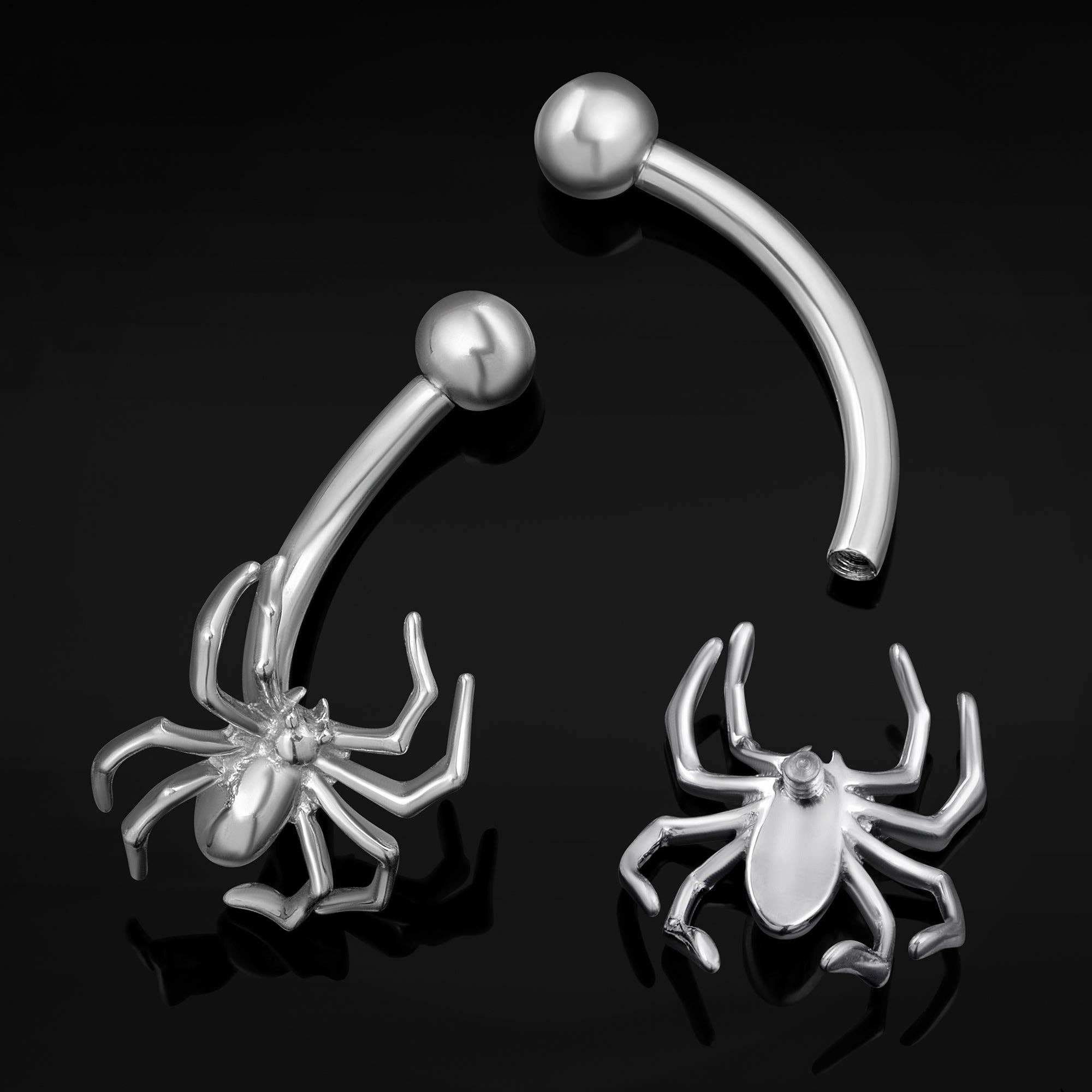 Custom Plugs - Wholesale Single Earring - Silver Spider Vertical Labret Internally Threaded Titanium Curved Barbell 1.2mm Gauge1