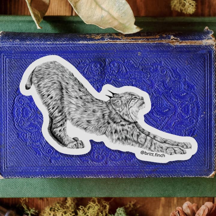 Adesivo in vinile «Big Stretch» per la vendita all'ingrosso da parte di Brittany Finch Art