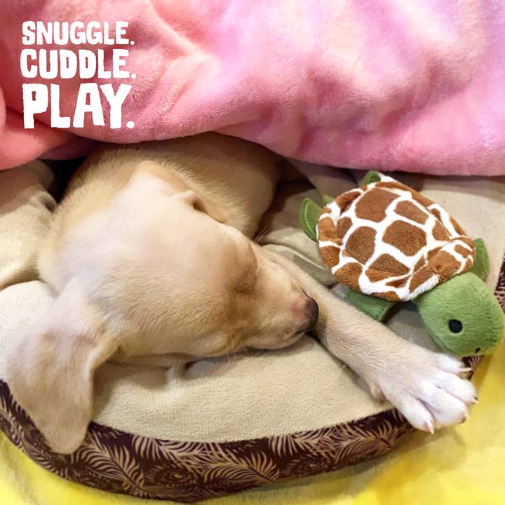 SnugArooz - Wholesale Pet Plush Toy - Dog - Baby Shelldon4