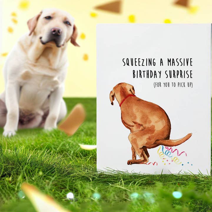Liyana Studio – Großhandel Geburtstagskarten – Frech Hund Überraschungsgeschenk - Lustige Geburtstagskarte