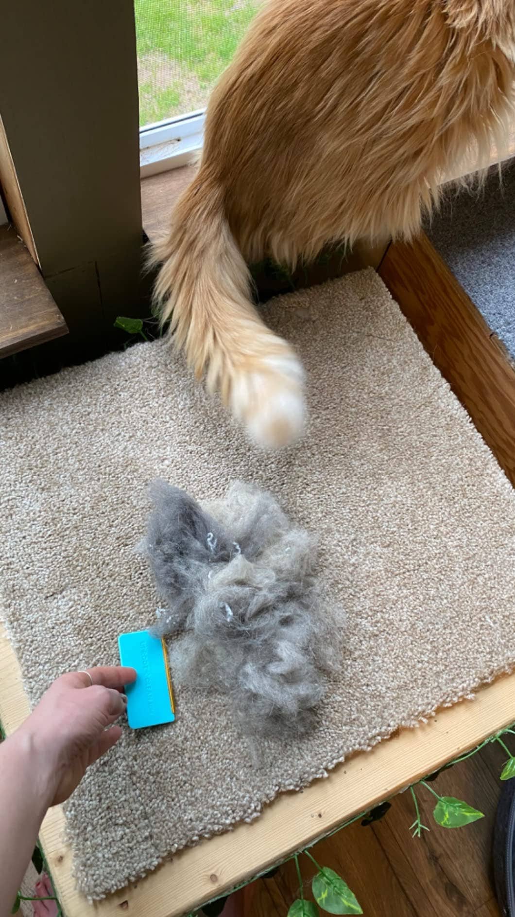 Uproot Clean - Wholesale Pet Grooming Tool - Dog - Uproot Cleaner Mini - Retail (8 Unit Case Pack)6