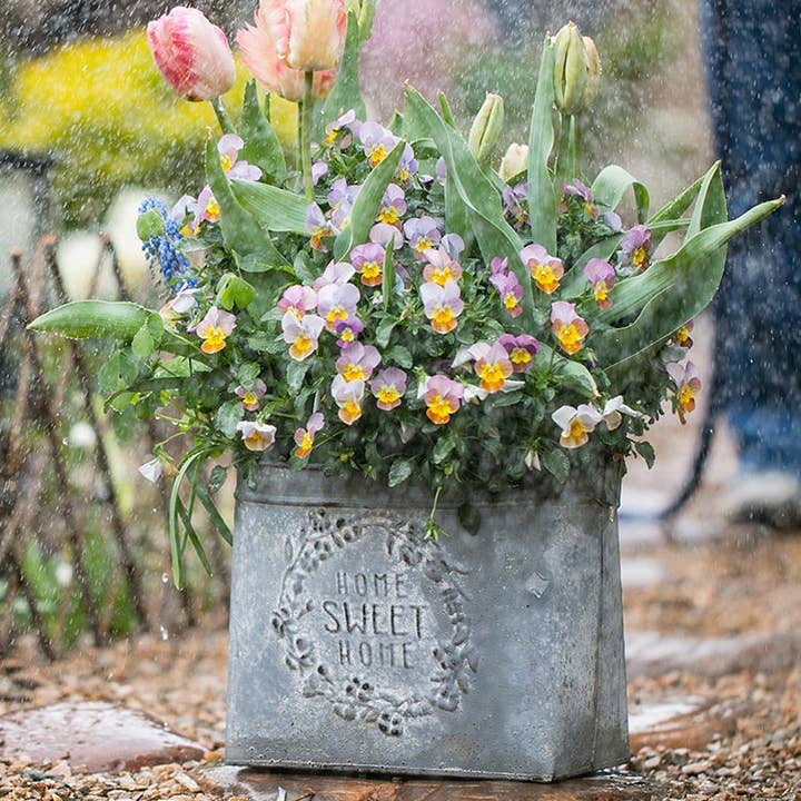 Iron Carry Flower Pot Gray Sweet Home for wholesale by Rustic Reach