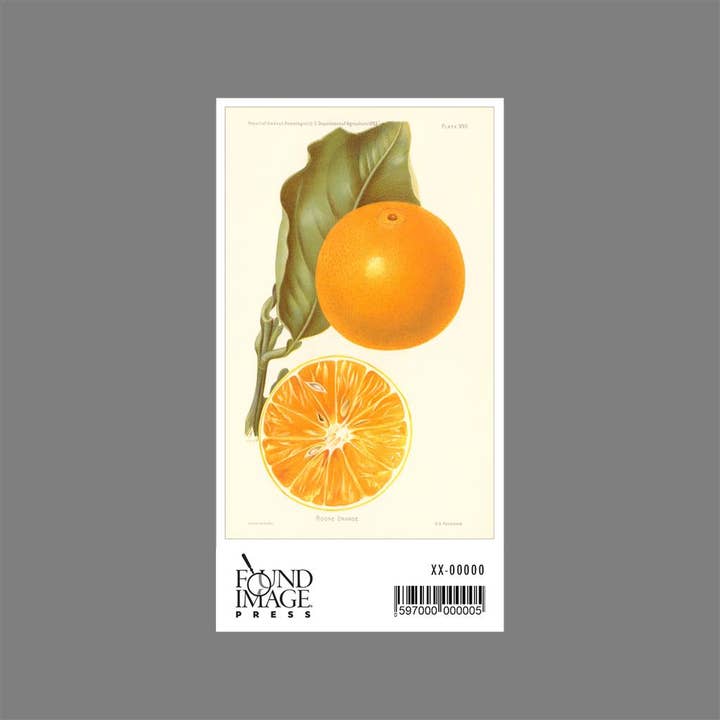 Found Image Press - Wholesale Sticker - Sticker FR-275 Boone Orange1