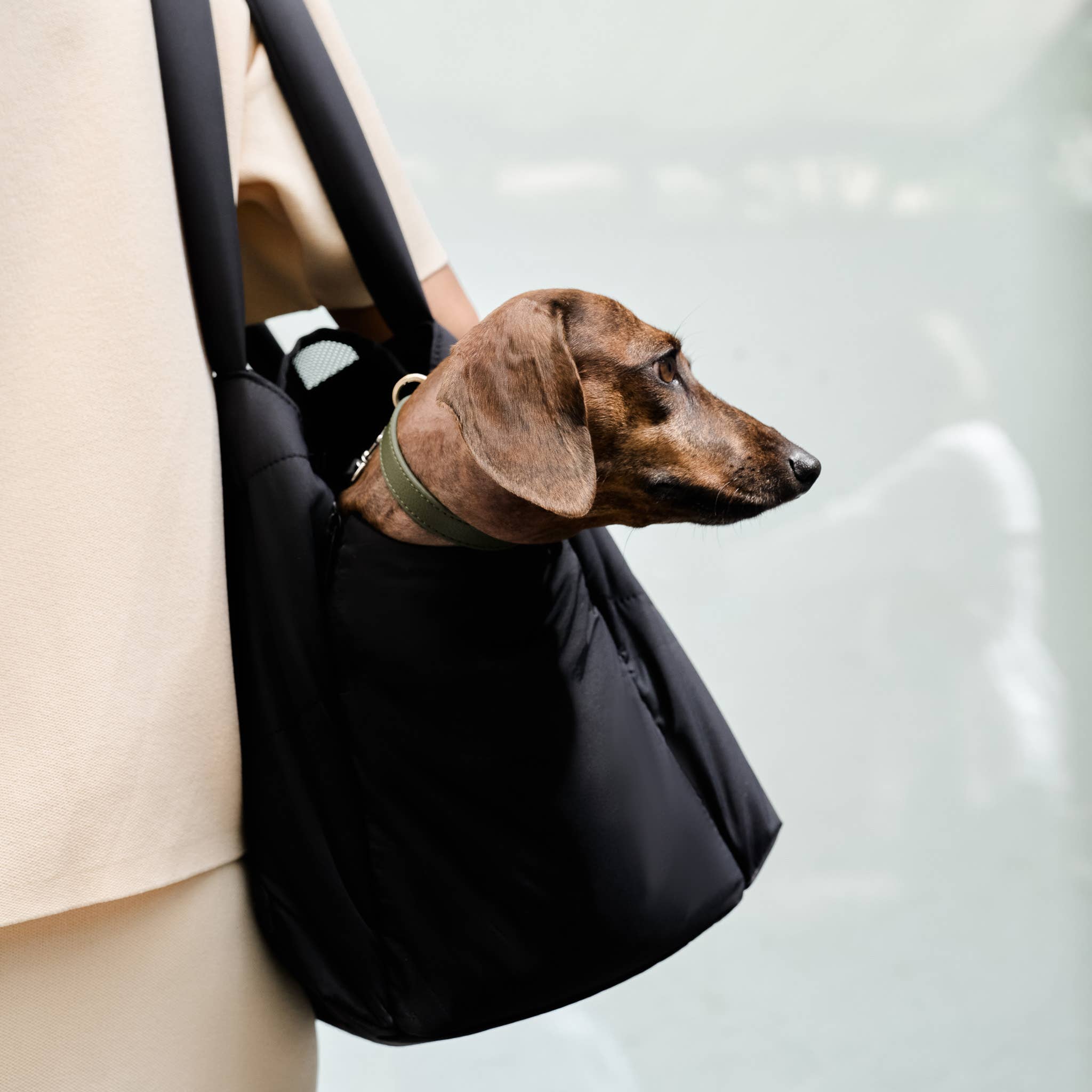 Pups & Bubs - Wholesale Pet Carrier - Dog - Destination Pet Carrier Tote4