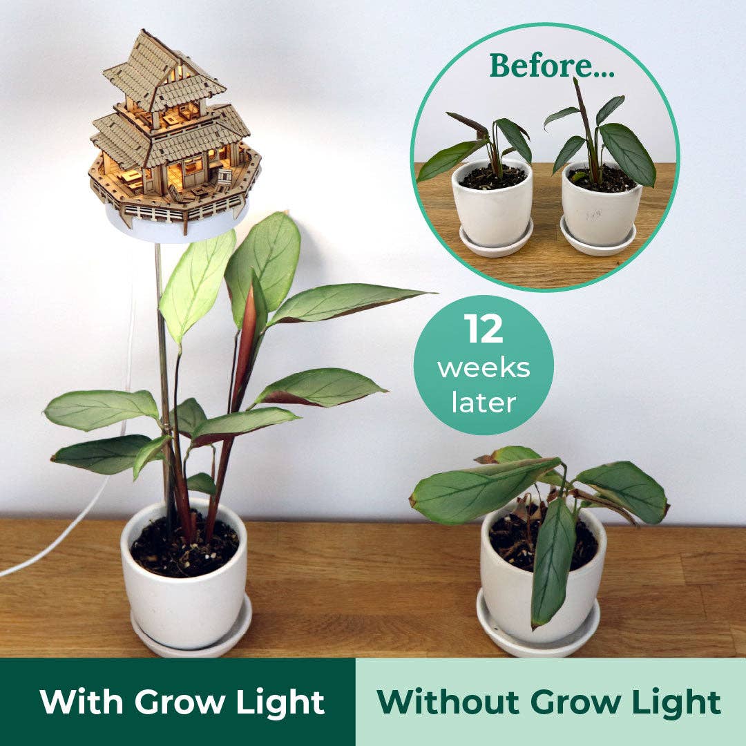 Tiny Treehouses - Wholesale DIY Craft Kit - Sunrise Terrace + Grow Light15