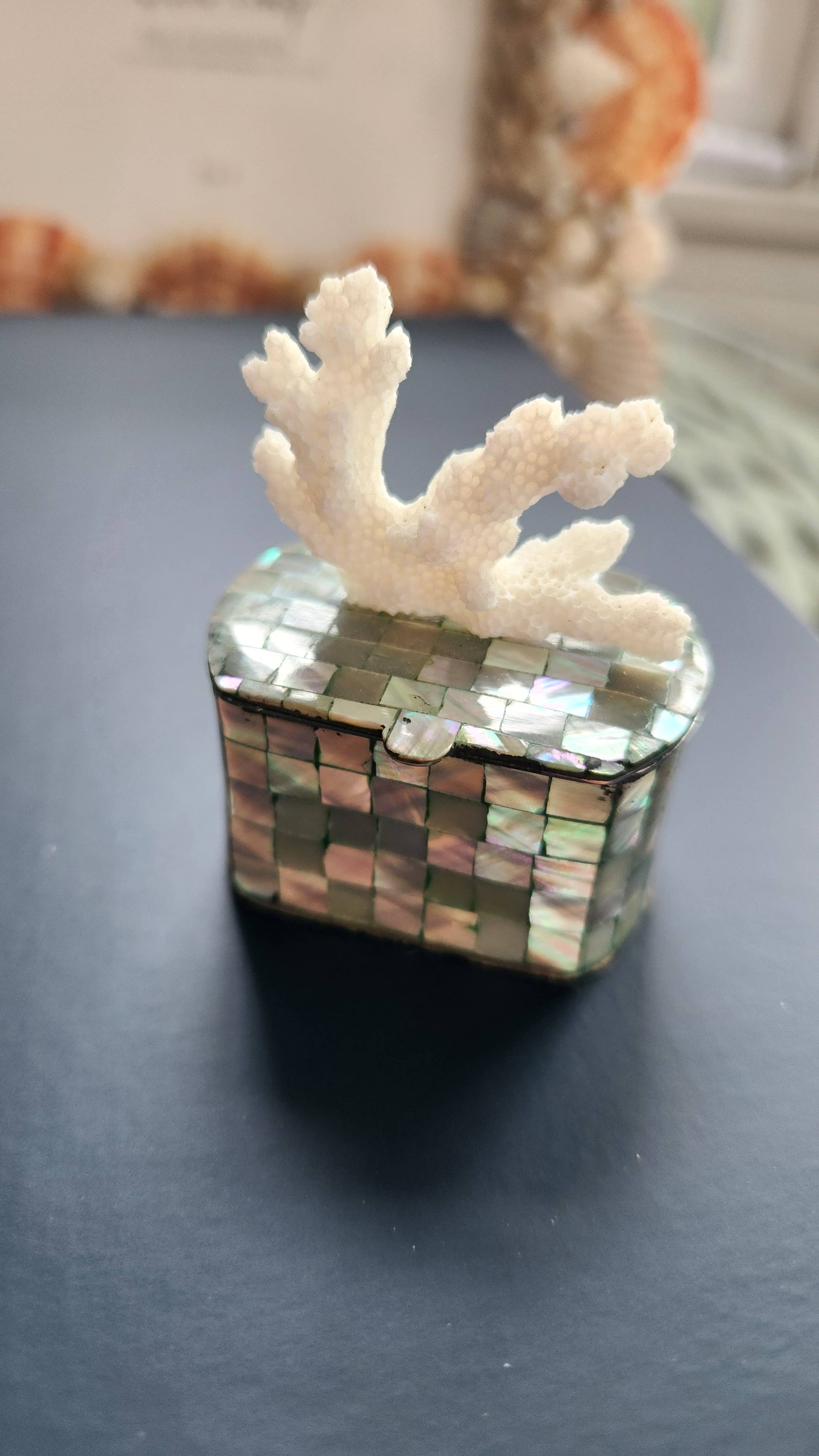 White Tulip Boutique - Wholesale Decorative Box - Mini Abalone MOP Shell Trinket Pill Box4