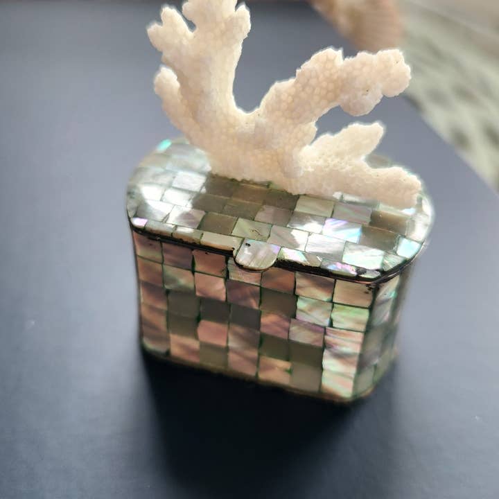 White Tulip Boutique - Wholesale Decorative Box - Mini Abalone MOP Shell Trinket Pill Box4