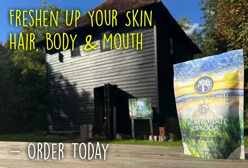 Ancient Purity - Venta al por mayor Suplementos/vitaminas para beber - Bicarbonato de sodio (Puro) 425g | Grado EP / BP / USP6