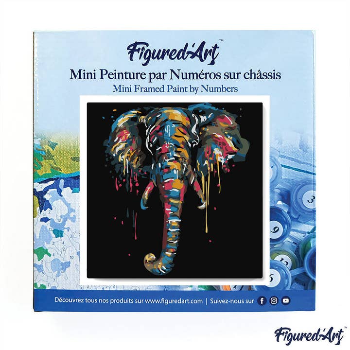 Figured'Art - Venta al por mayor Kit de manualidades - Minipintura con números de 20 x 20 cm con marco de elefante